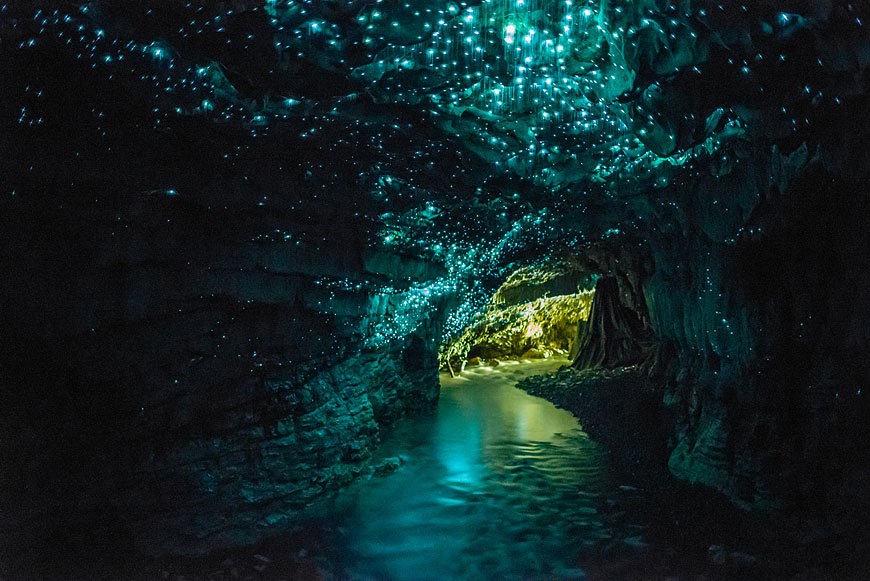 Waitomo Glowworm Caves - New Zealand